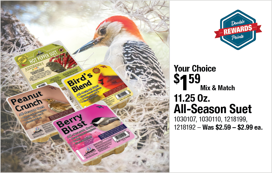 11.25 Oz. All-Season Suet